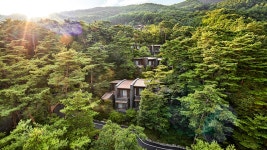 포레스트 리솜 & 레스트리, 충주·제천·단양, 충청 - 여기어때 특가
