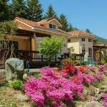 산청 와일드 플라워 펜션, 산청·하동·합천·거창, 경남 - 여기어때 특가