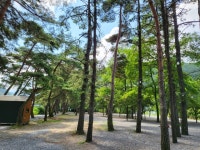 제천 월악파인오토캠핑장, 충청 - 여기어때 특가