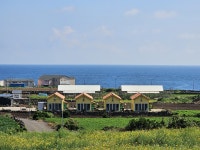제주 우도해바라기펜션, 함덕·월정·구좌·하도, 제주 - 여기어때 특가