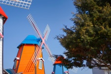 강릉 꿈꾸는풍차 애견동반 펜션, 강릉 (경포.안목해변), 강원 - 여기어때 특가