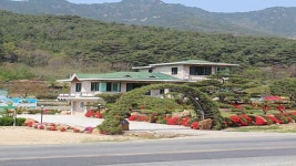 창녕 소나무풍경펜션, 산청·하동·합천·거창, 경상/부산 - 여기어때 특가