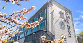 영흥도 글램독 애견펜션, 대부도·영흥도·선재도, 인천 - 여기어때 특가