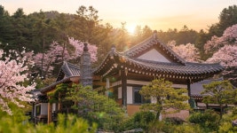 양평 아그니초시매 한옥스테이, 양평·용문, 그 외 지역 - 여기어때 특가