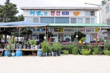 태안 연포해변앞2, 태안·만리포·청포대, 충남 - 여기어때 특가