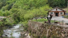 삼척 계곡하우스 펜션, 동해·삼척, 강원 - 여기어때 특가