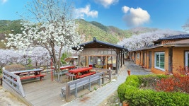 횡성 솔나무황토방펜션, 평창·횡성·원주, 강원 - 여기어때 특가