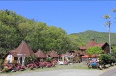 รูปภาพผลการค้นหา Naver 3