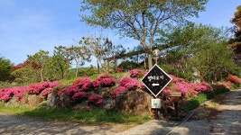 양평 별따오기펜션, 양평·용문, 경기 - 여기어때 특가