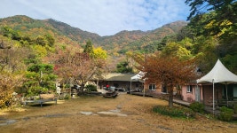 하동 산골매실펜션, 산청·하동·합천·거창, 경남 - 여기어때 특가