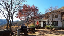 김천 산속의아침펜션, 청도·성주·경산, 경북 - 여기어때 특가