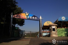 인천서구 사계절썰매장 | 여기유 인천서구 사계절썰매장