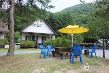 강원도휴가 검색 여기유