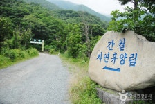 간월산 자연휴양림 | 여기유 간월산 자연휴양림