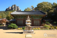 경북가볼만한곳 검색 여기유