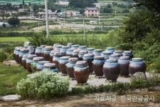 여주가볼만한곳 검색 여기유