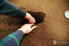 산약초마을 검색 여기유