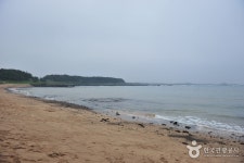 해변 검색 여기유