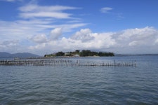 저도(딱섬) | 여기유 저도(딱섬)