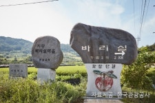 금산여행 검색 여기유