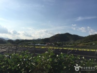 춘천여행 검색 여기유