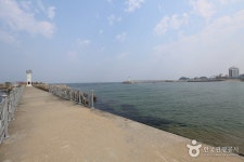 장사항 | 여기유 장사항