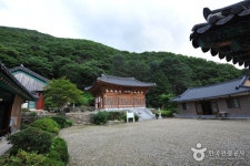 정수사 검색 여기유