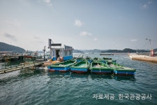 선상낚시 검색 여기유