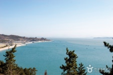 진도 소포검정쌀마을 | 여기유 진도 소포검정쌀마을