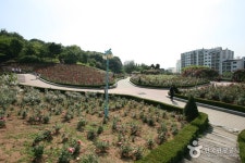 공원 검색 여기유
