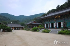 등산 검색 여기유