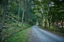 청송 자연휴양림 퇴적층 (청송 국가지질공원) | 여기유 청송 자연휴양림 퇴적층 (청송 국가지질공원)