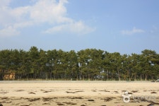 송정해수욕장 검색 여기유