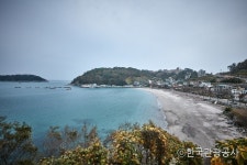 설리스카이워크 검색 여기유