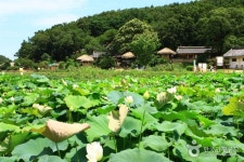 한옥체험 검색 여기유