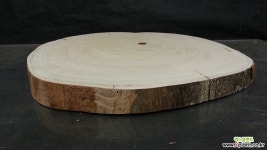 통나무슬라이스(박쥐란헌팅트로피diy용)1207xp10 원예자재 기타