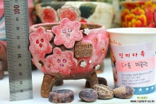 애플트리-보이는 만큼 사랑한다 작품 다육화분 애플트리-