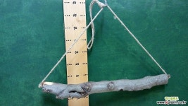 틸란드시아행거용 연수목sp-4368 원예자재 기타