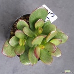 0722-112 천원상품