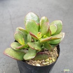 0722-112 천원상품