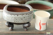 강천-수제화분 65 다육화분