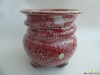 화분3364 다육화분