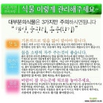 캐모마일(Chamomile) 다육모종 700원(단품목 5000원 이상배송가능) 모종