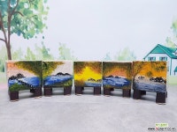 소담수제화분 할인 다육화분