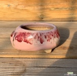 도향수제화분 다육화분