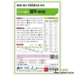 (아시아종묘/열무씨앗종자) 새바람열무(20g) 기타씨앗
