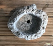 백두산부석화분 #3 야생화