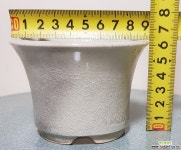 [청송분 441] 소품분재및다육분 다육화분