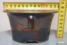 [청송분 456] 분재및다육분 다육화분