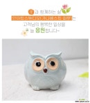 부엉이(스카이블루) - 최고급 수제 화분  예쁜화분 다육화분 베란다화분 개업화분 특이한화분 선물화분  작가도예-IS- 곡선형-가나베스트... 